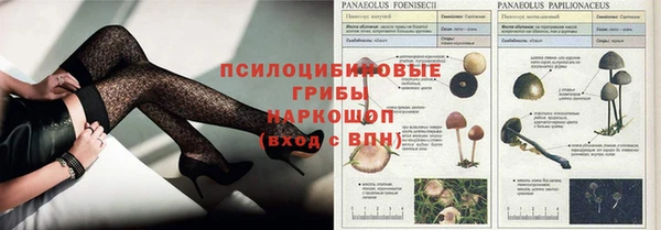 мяу мяу кристалл Нея