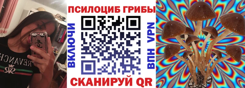 Галлюциногенные грибы Cubensis  Новое Девяткино 
